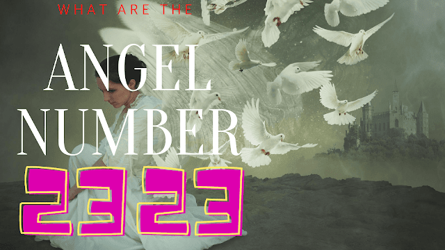 anjel-číslo-2323