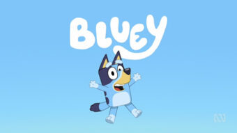   bluey-heeler-bio