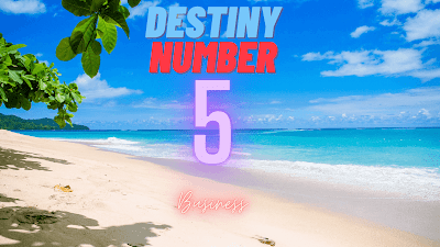Destiny-Number-5-Business (1)