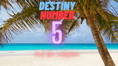 Destiny-Number-5-realizácia (1)