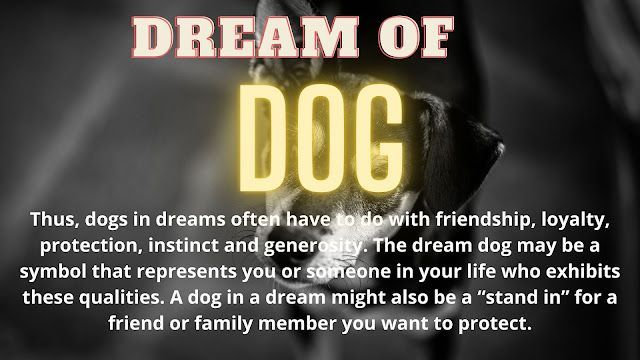 犬の夢