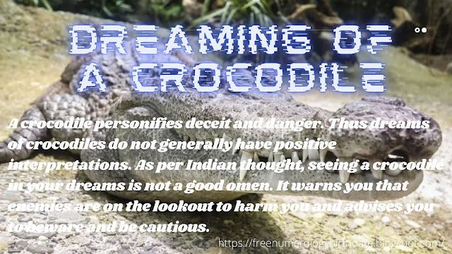 Sonhando com um crocodilo