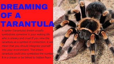Drömmer om en tarantula