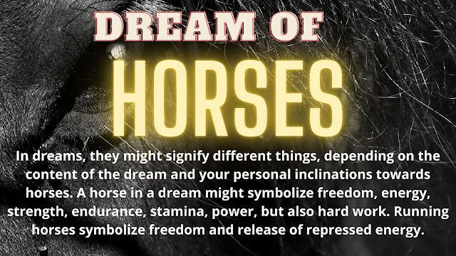 atları hayal etmek