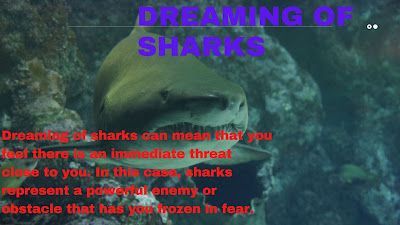 Sognare squali