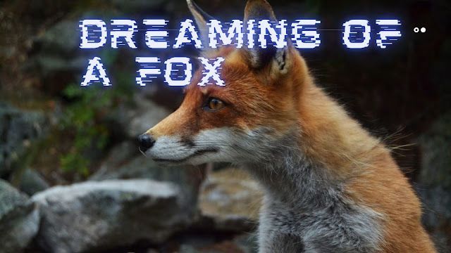 Träume von einem Fuchs