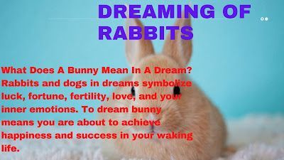 Sognare conigli