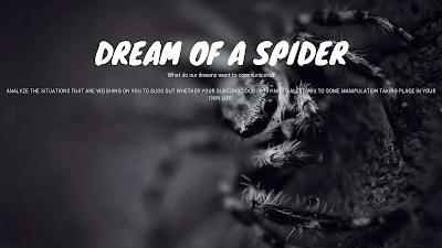 Sonhar com uma aranha