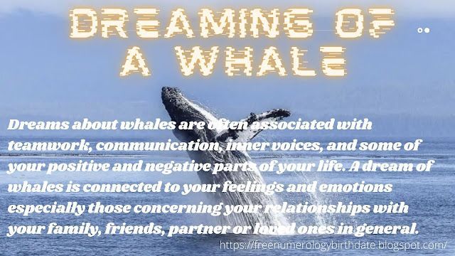 Sognare una balena