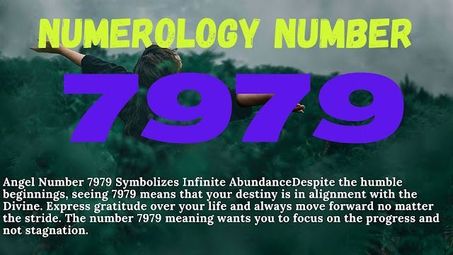 Numeroloji-sayı-7979